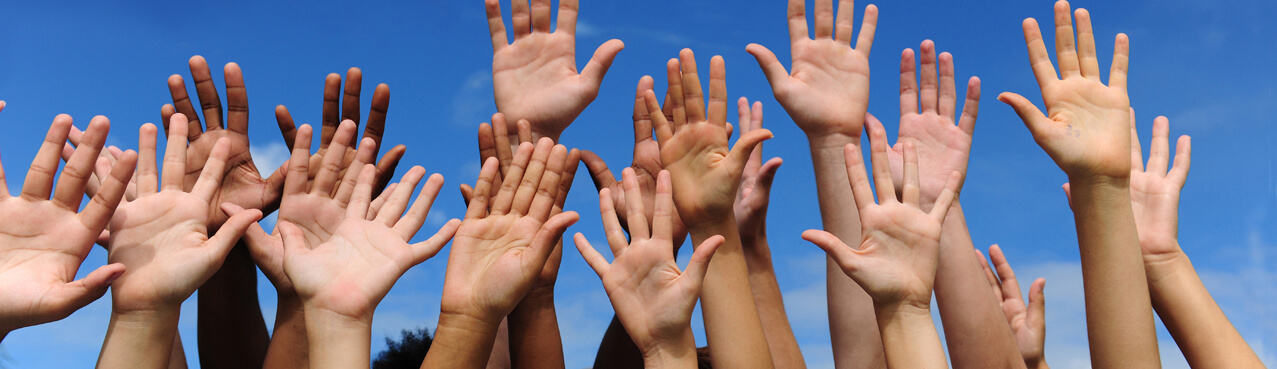 Raised hands to volunteer