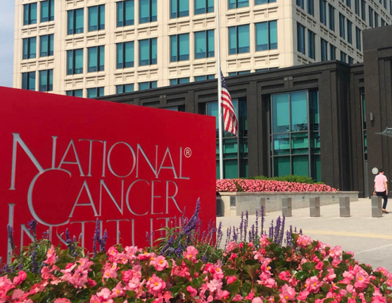 Image: Exterior of NCI