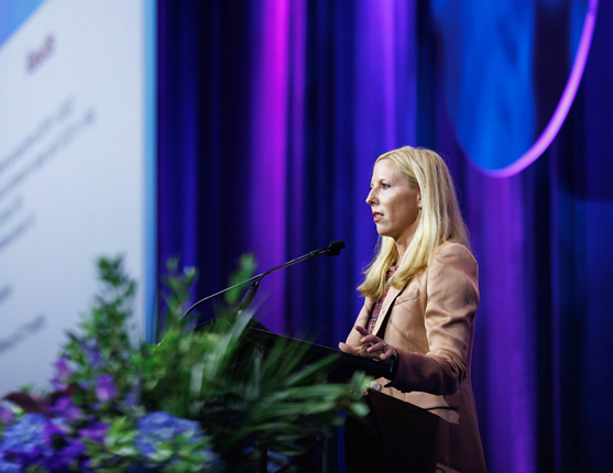 Image: Presenter speaking at meeting