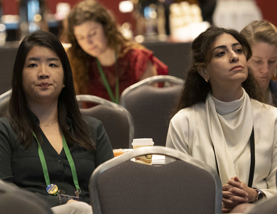 Image: Attendees at a session