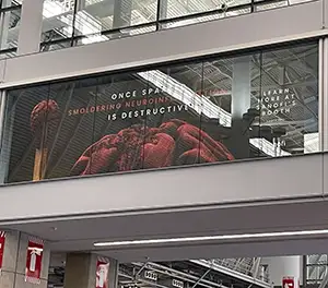 Skybridge Window Clings