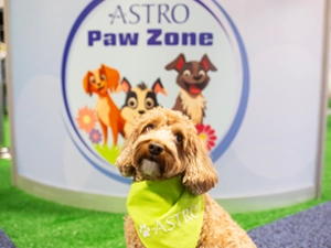 Paw Zone