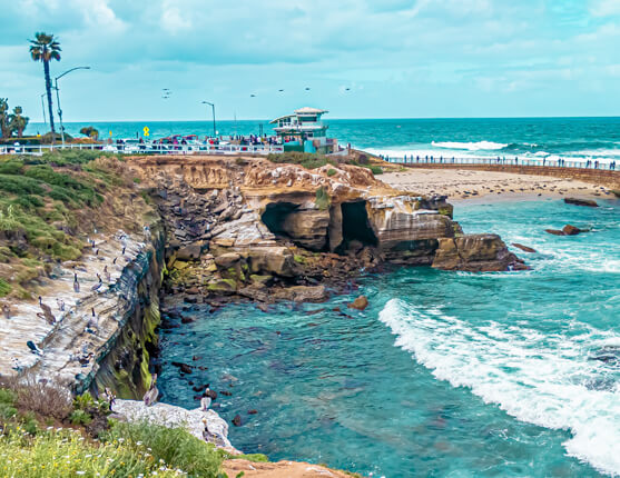 Image: Coastline in San Diego
