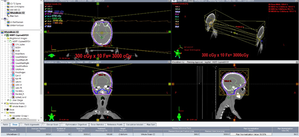 Figure 1: Idealized Version of Prescription Display